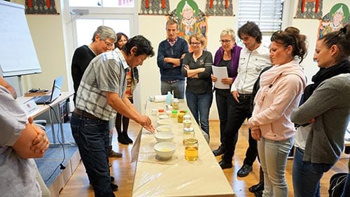 Grundlagen der traditionellen tibetischen Medizin